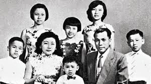 林梧桐 林梧桐