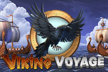 Viking voyage 游戏封面