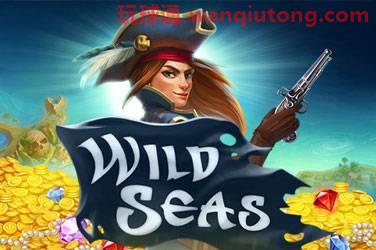 Wild seas 游戏封面