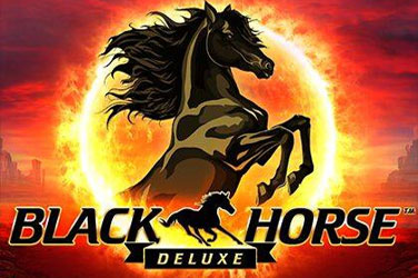 Black horse deluxe 游戏封面