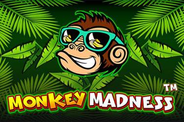 Monkey madness 游戏封面