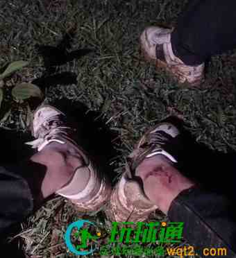狗推日记：困境只是人生一段路